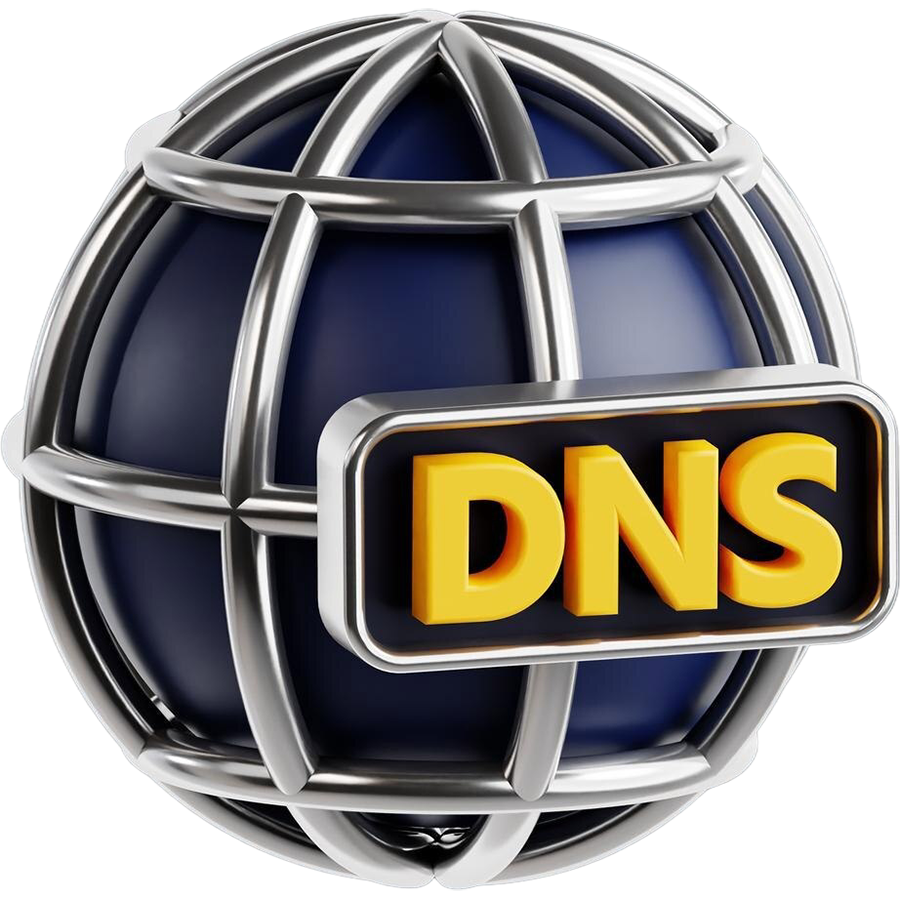CT-DNS
